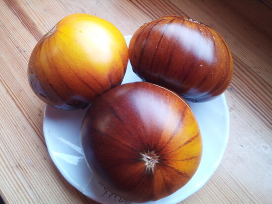 Большой Жёлтый Синий